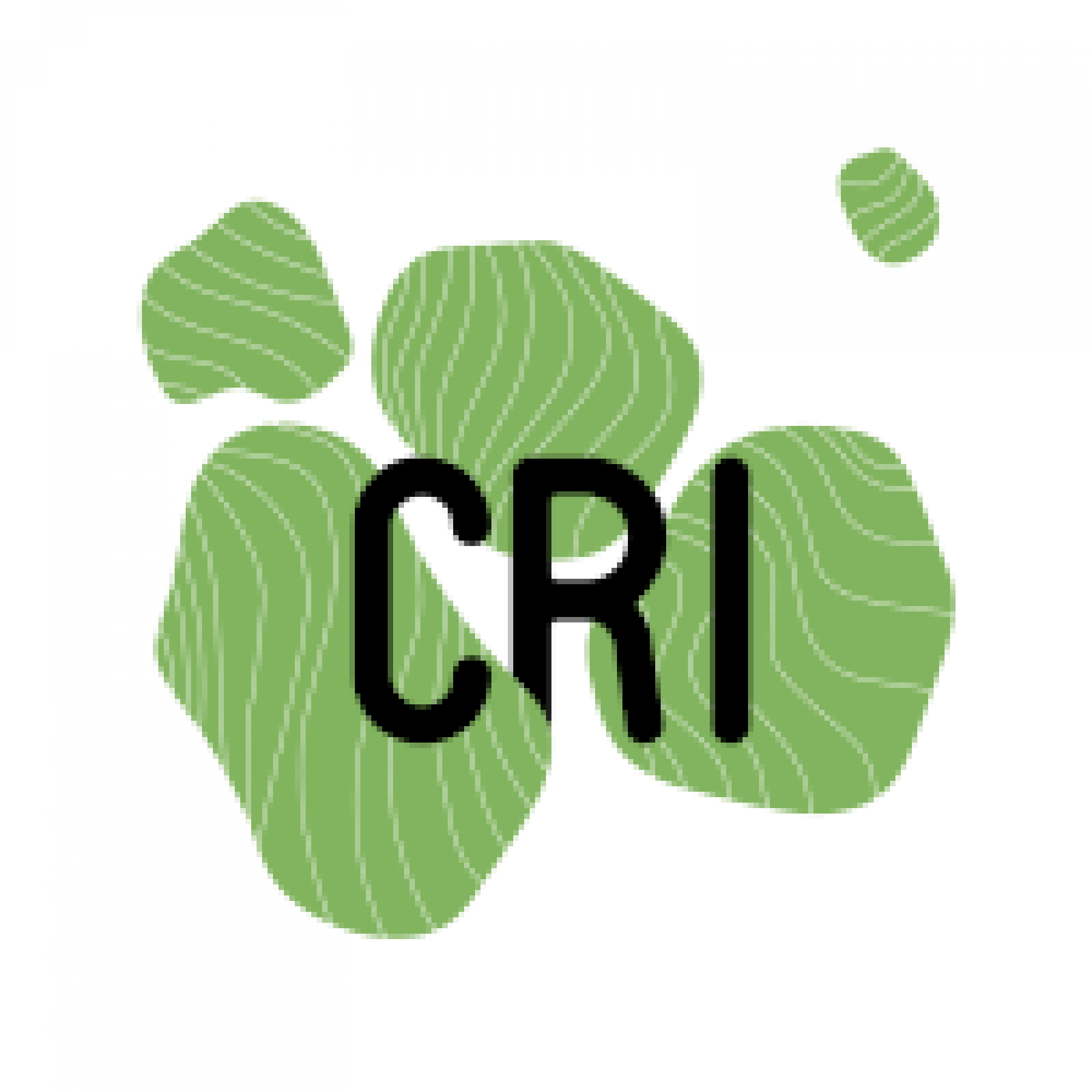 Center for Research and Interdisciplinarity logo